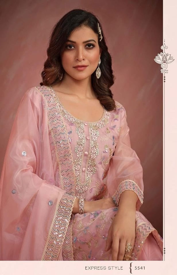 Indian Style Embroidered D.No 5541