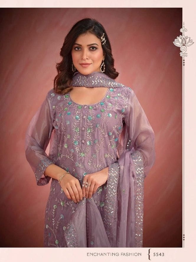 Indian Style Embroidered D.No 5543