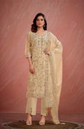 Indian Style Embroidered D.No 5546