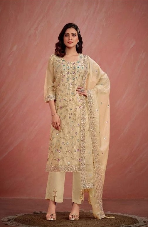 Indian Style Embroidered D.No 5546