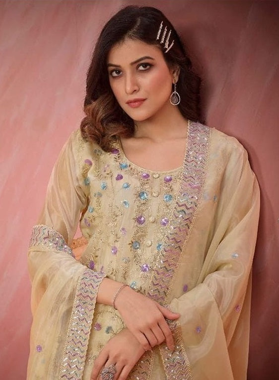 Indian Style Embroidered D.No 5546