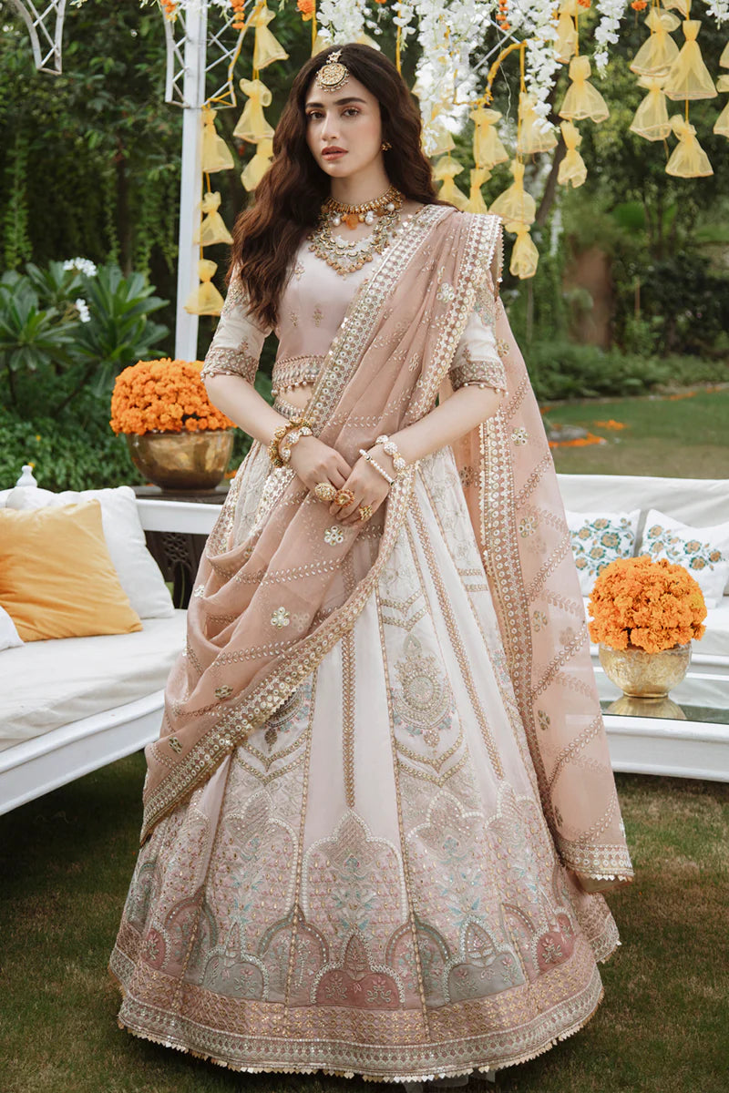 Qalamkar Embroidered Maxi MX 6019