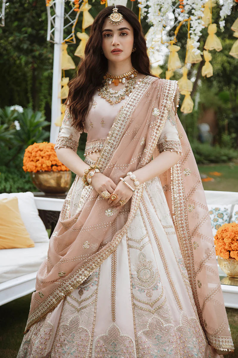 Qalamkar Embroidered Maxi MX 6019