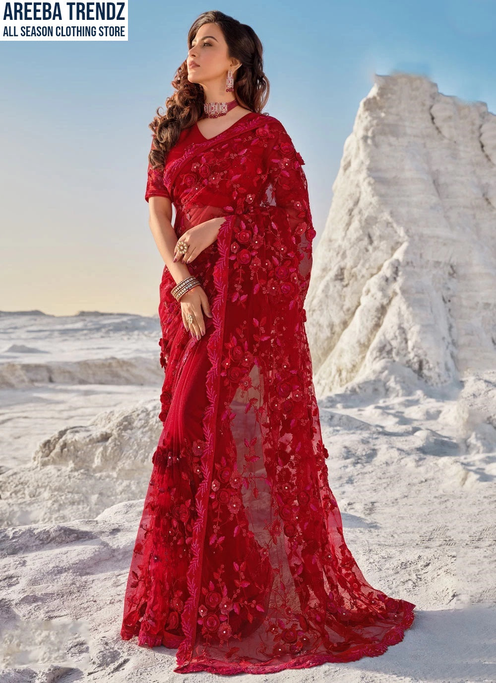 Indian Style Embroidered Red Net Saree SR 5026