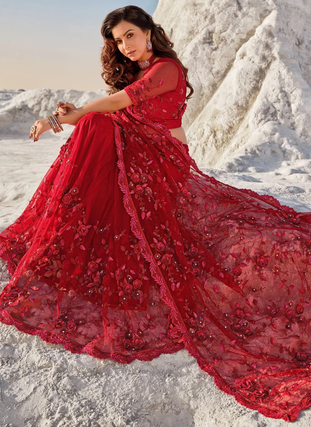 Indian Style Embroidered Red Net Saree SR 5026